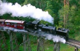 Puffing Billy with Wildlife and Lunch